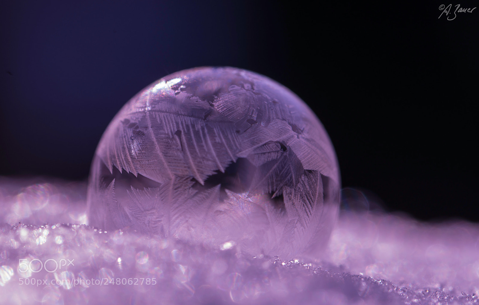 Nikon D7200 sample photo. Frozen purple bubble photography