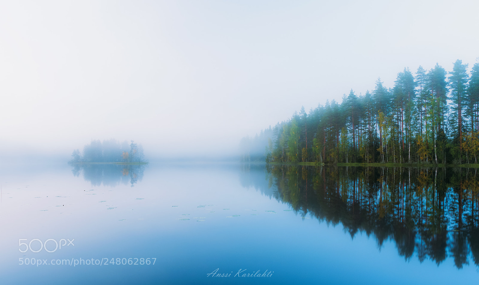 Nikon D600 sample photo. Mist rising photography