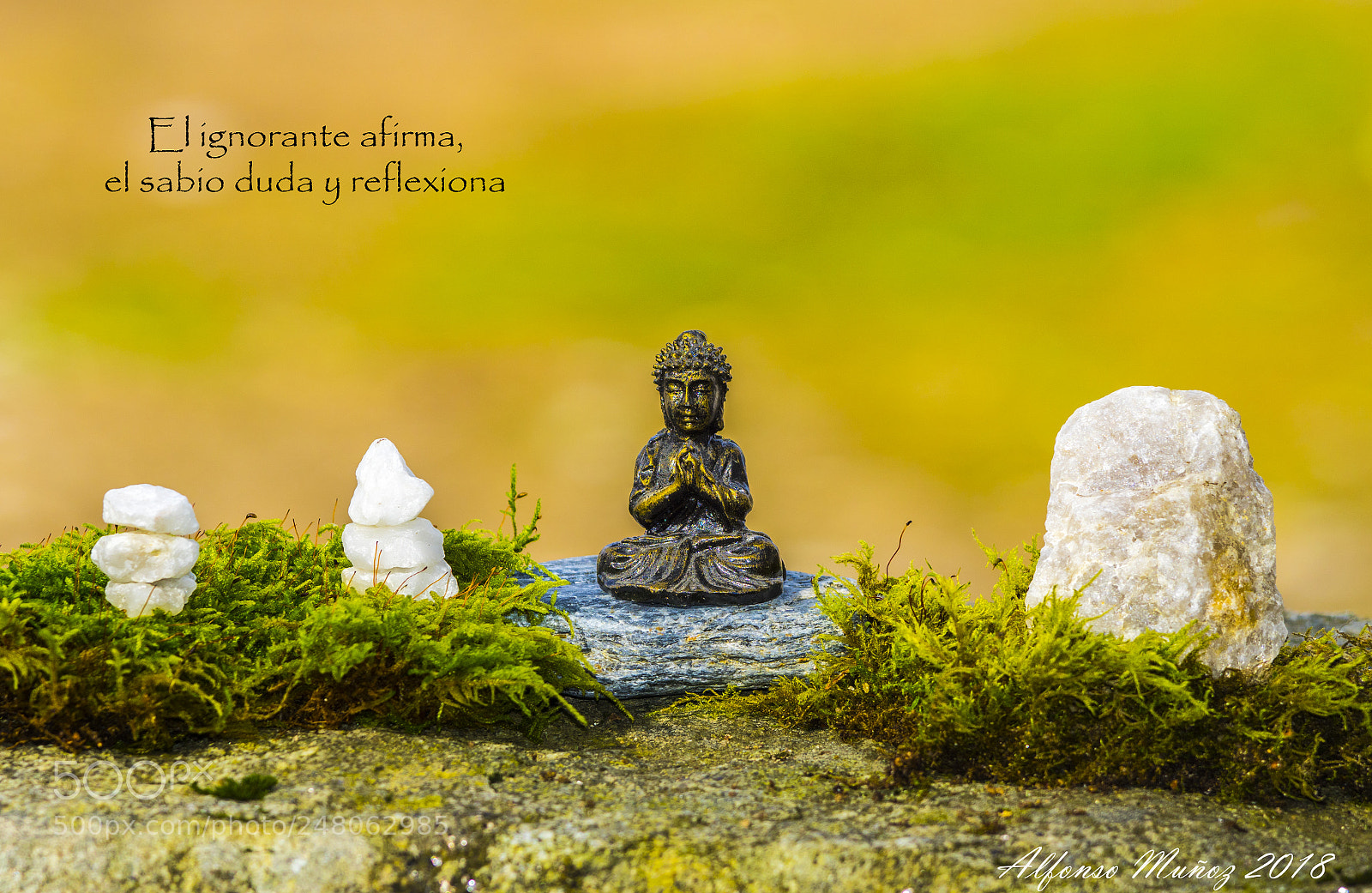 Sony ILCA-77M2 sample photo. Buda photography