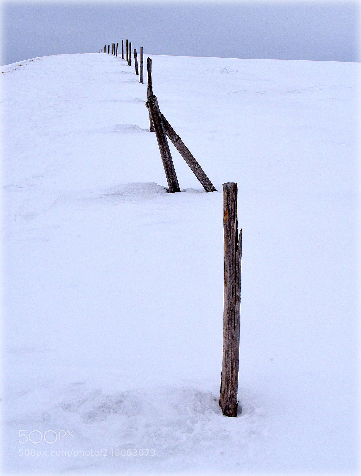 Nikon D810 sample photo. "overstanding" photography