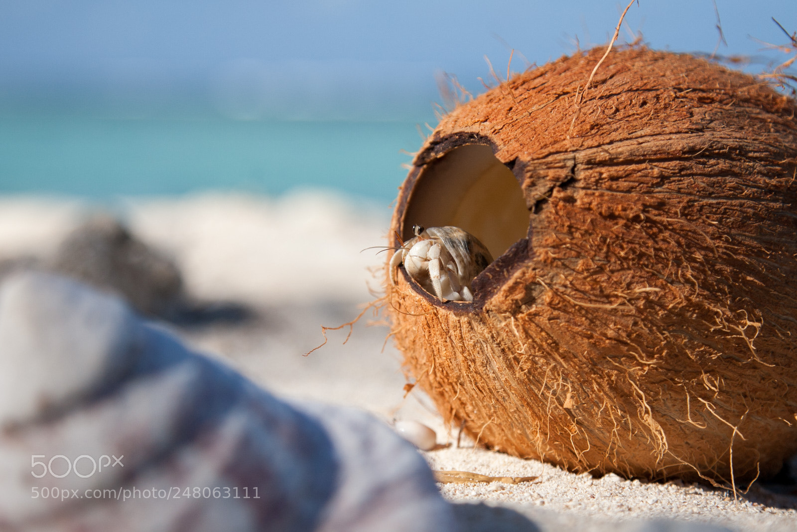 Canon EOS 5D sample photo. Bernard s'est bien r photography