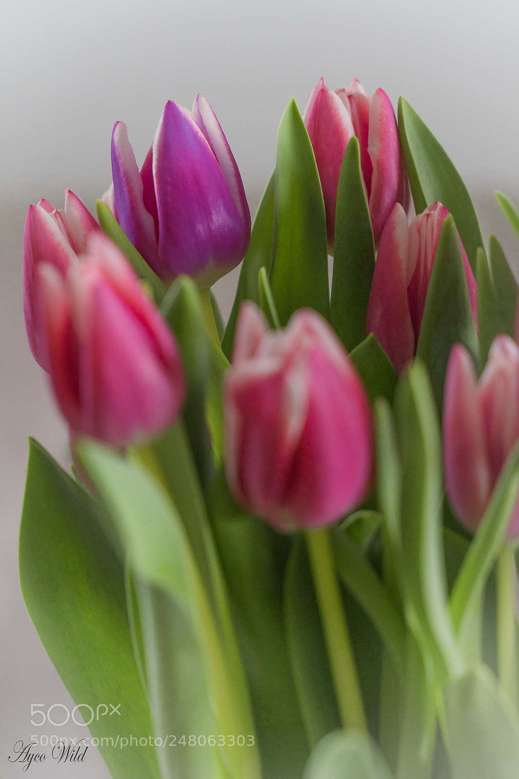 Sony a6300 sample photo. Be different ! photography