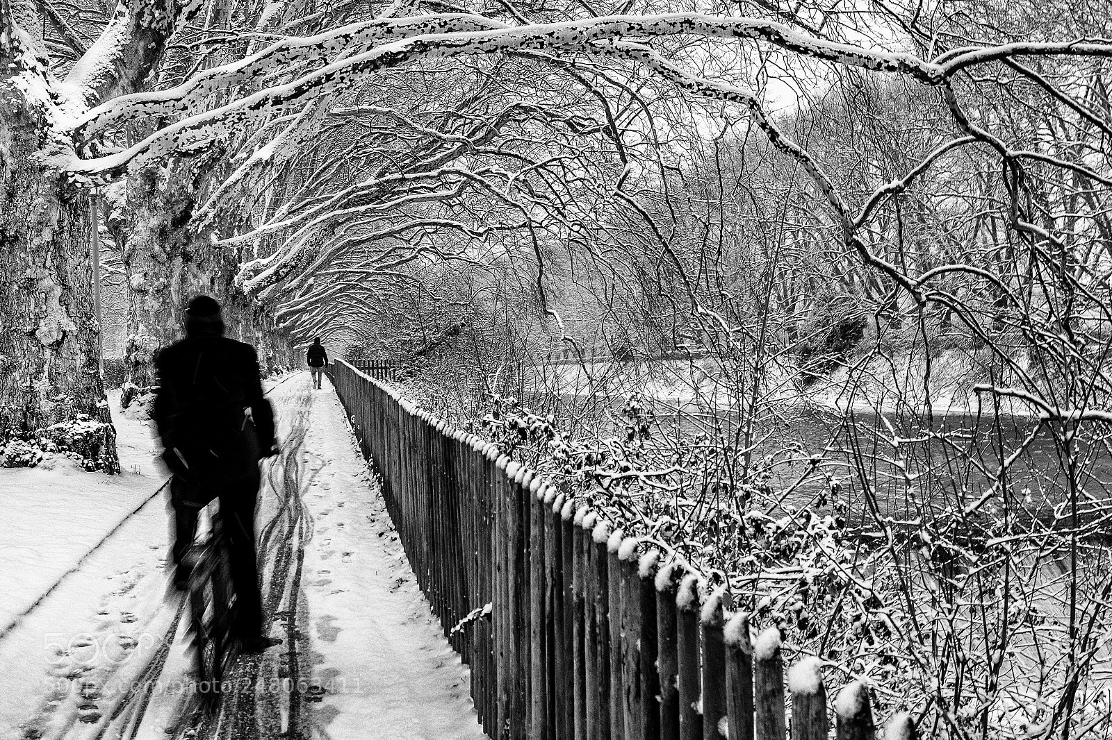 Fujifilm X-T2 sample photo. Slippery when white photography