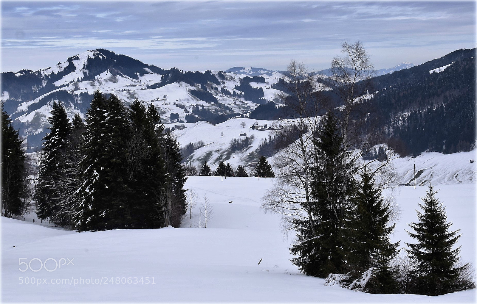 Nikon D810 sample photo. "winterscape;" photography
