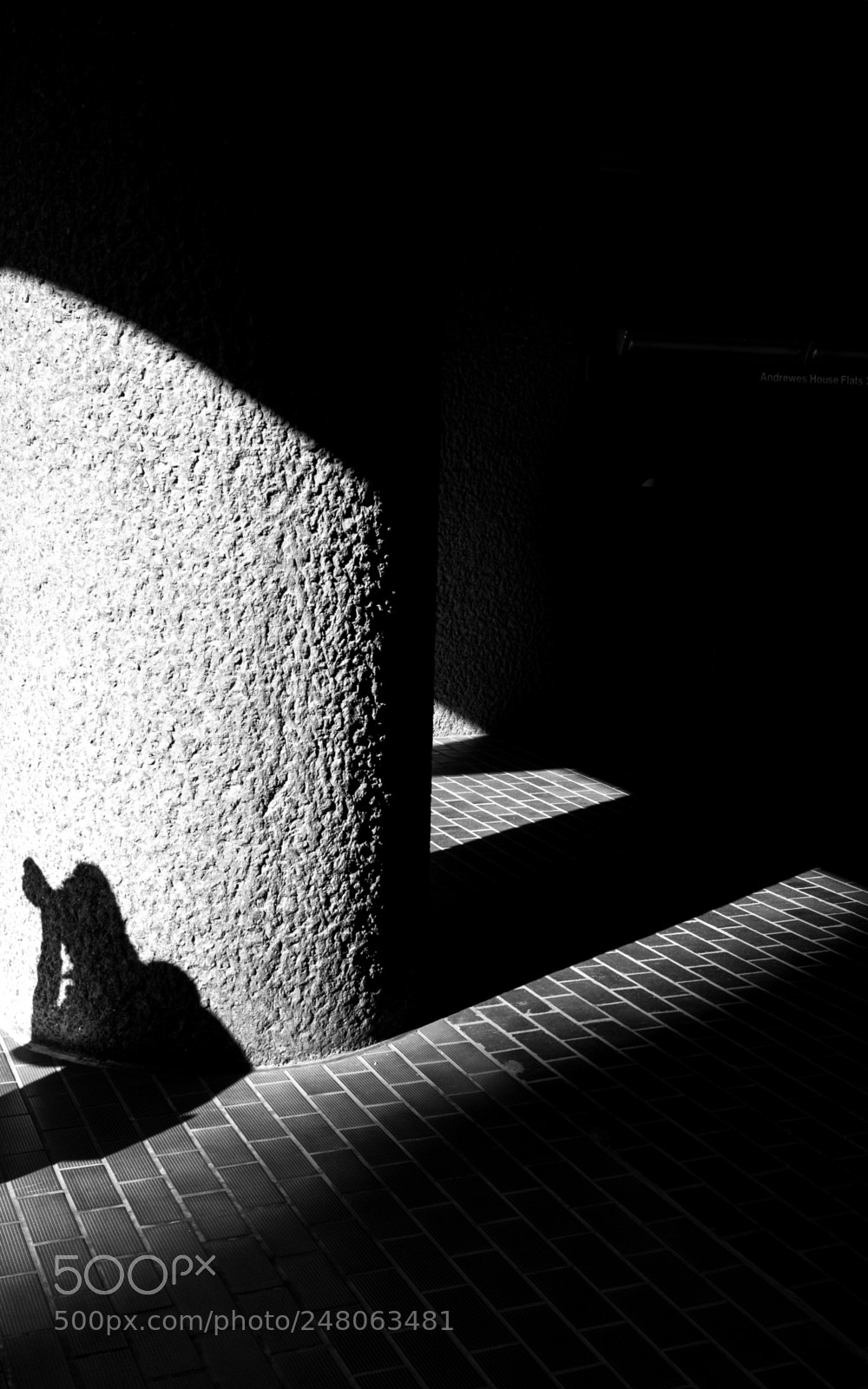Leica M (Typ 240) sample photo. Photographer at barbican photography