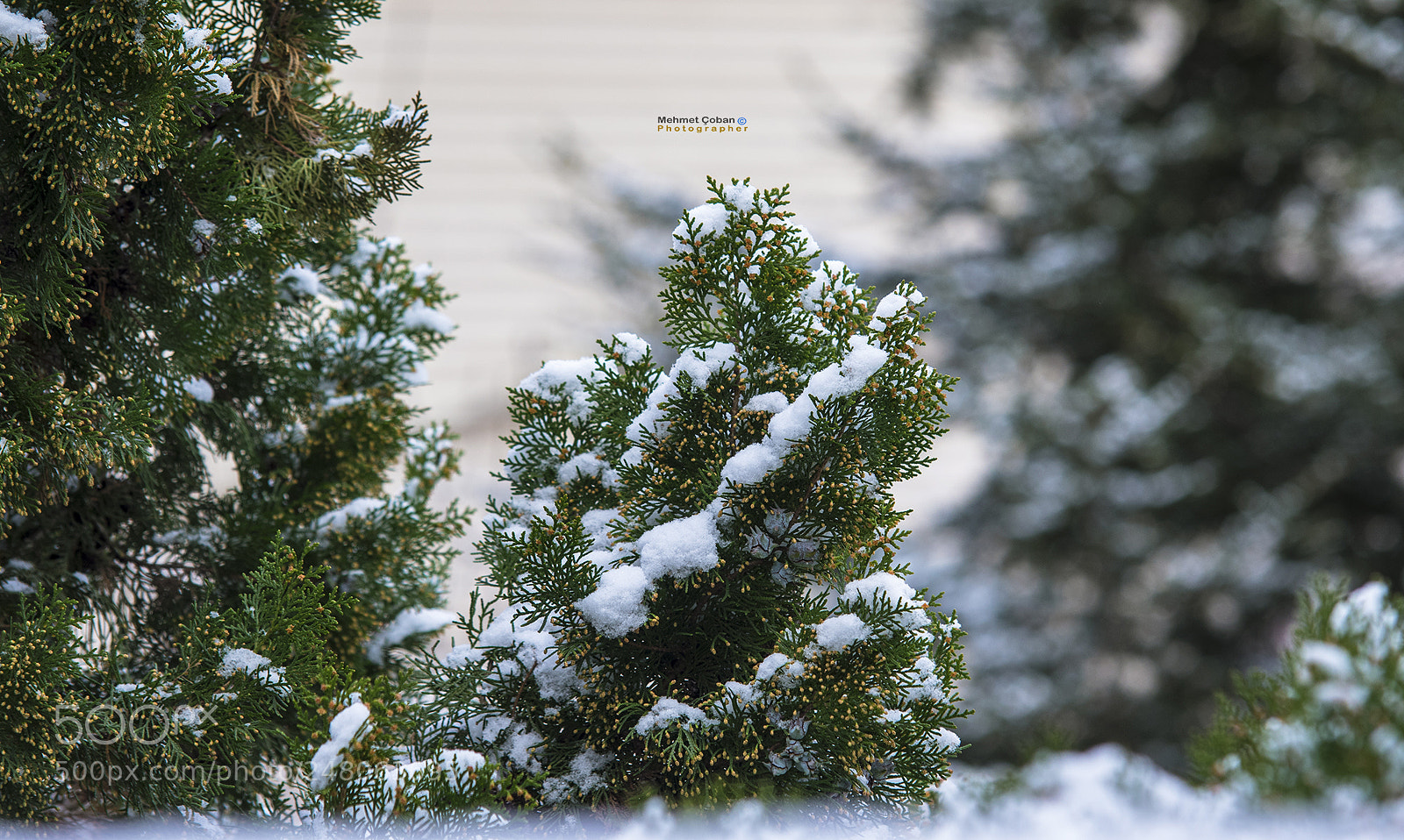 Pentax K-3 II sample photo. Snowy landscape photography