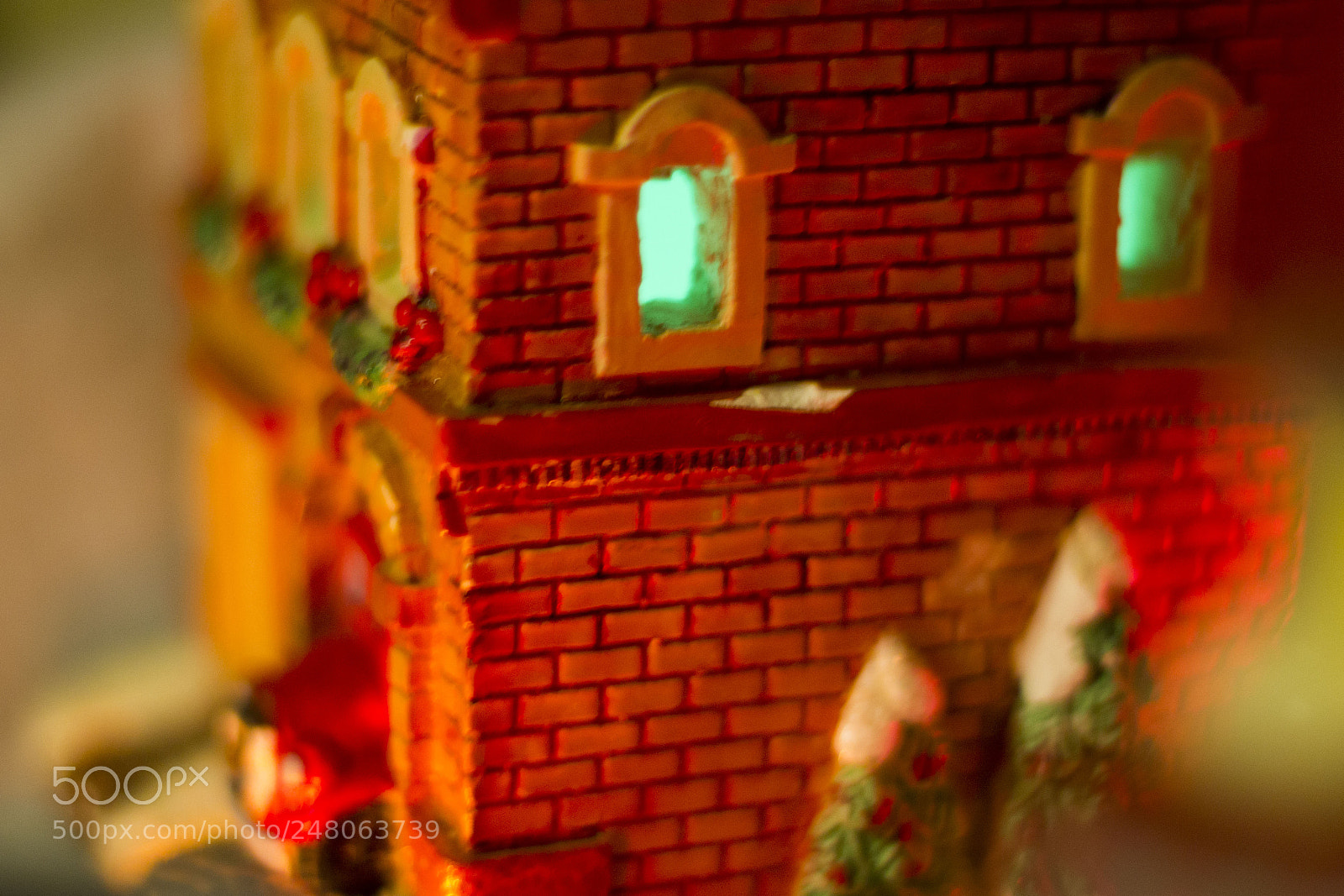 Canon EOS 550D (EOS Rebel T2i / EOS Kiss X4) sample photo. #tinyvillage photography