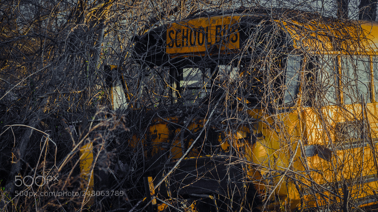Canon EOS 700D (EOS Rebel T5i / EOS Kiss X7i) sample photo. Abandoned photography