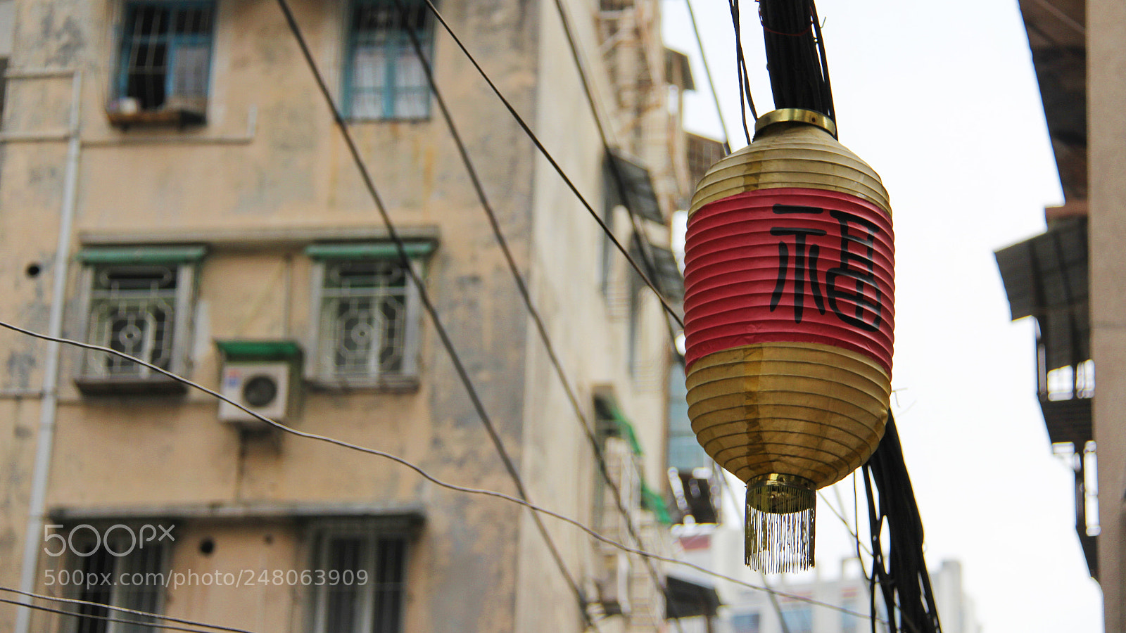 Canon EOS 60D sample photo. Untitled photography