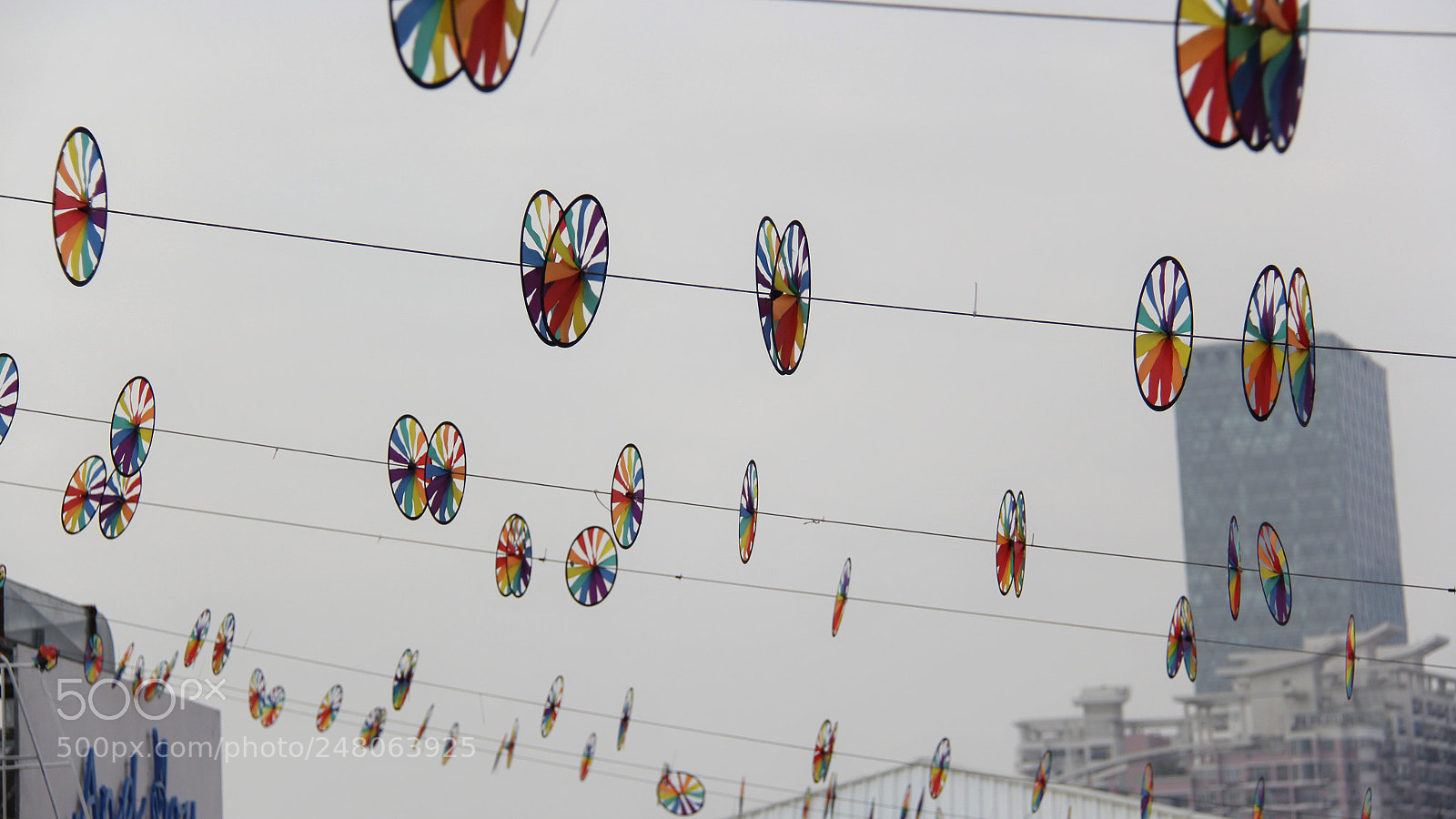 Canon EOS 60D sample photo. Untitled photography