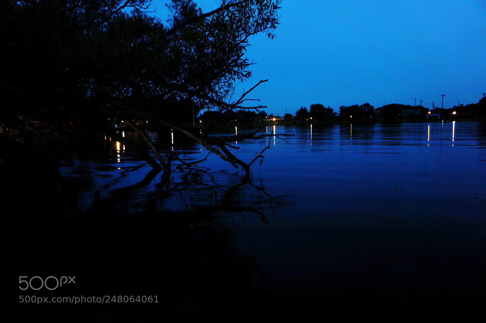Sony Alpha a5000 (ILCE 5000) sample photo. Trees meet pond photography