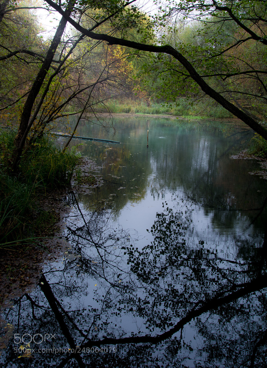 Nikon D7100 sample photo. Reflection photography