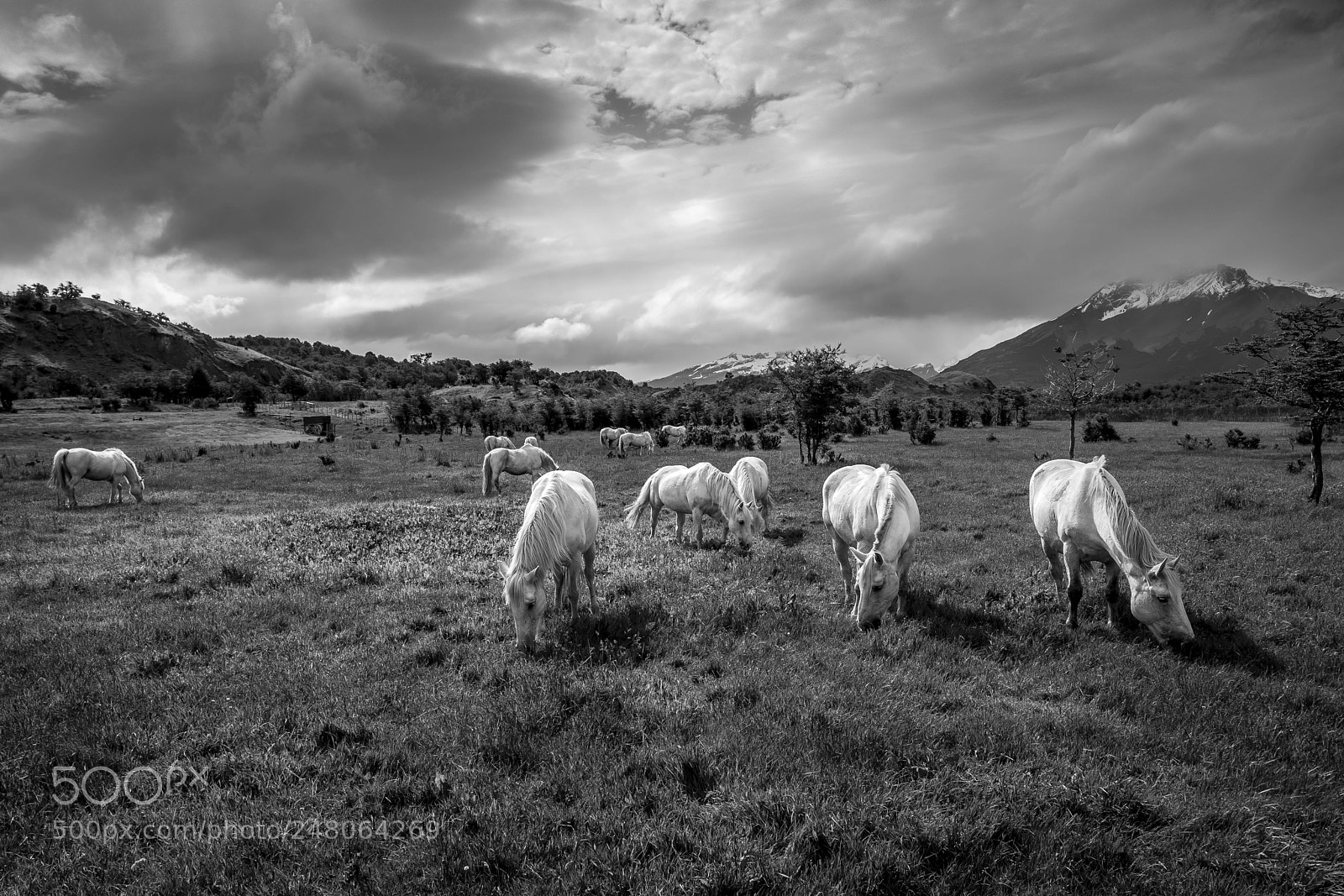 Leica Q (Typ 116) sample photo. Patagonia lights photography