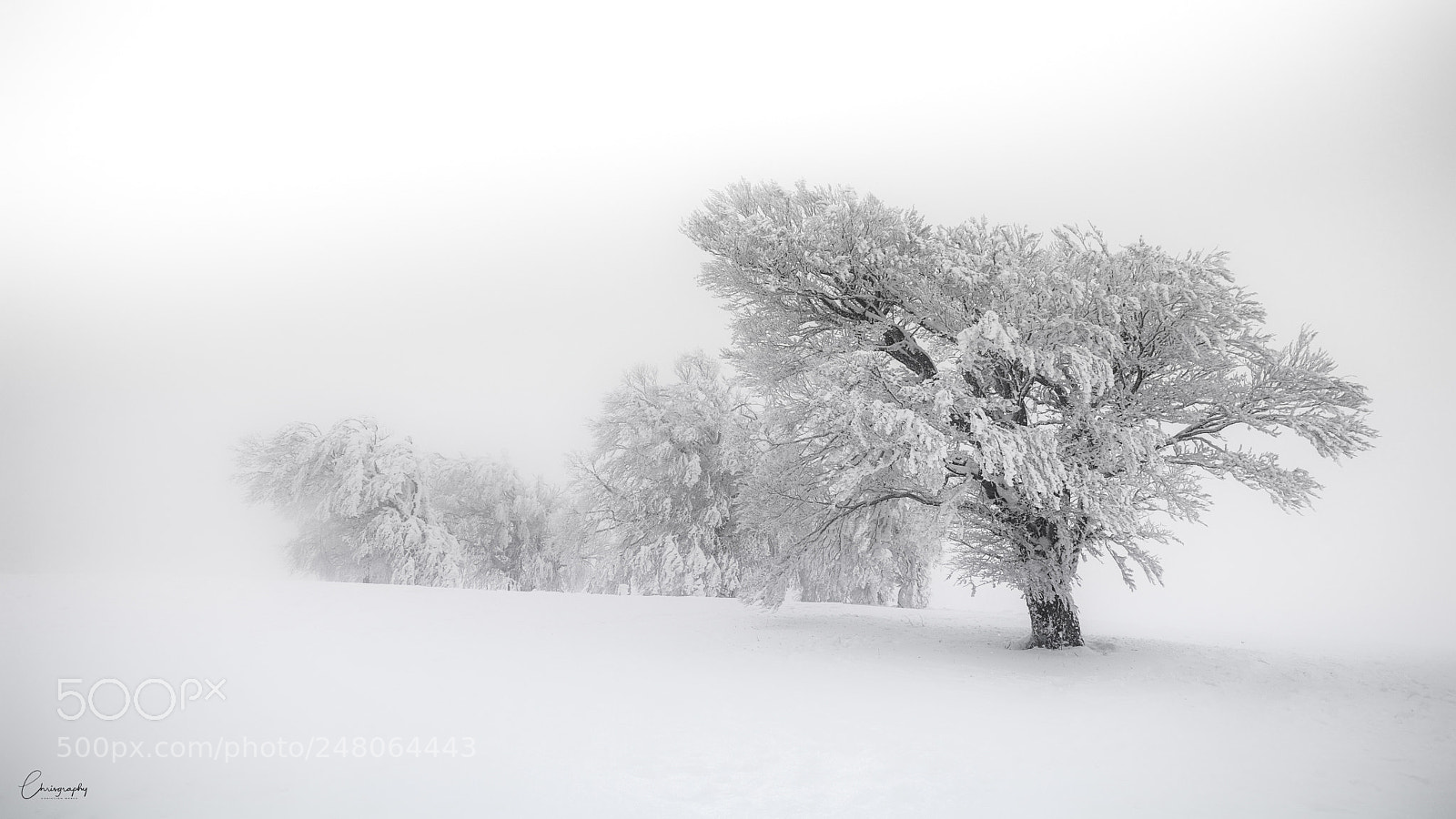 Nikon D7100 sample photo. Winter auf dem schauinsland photography