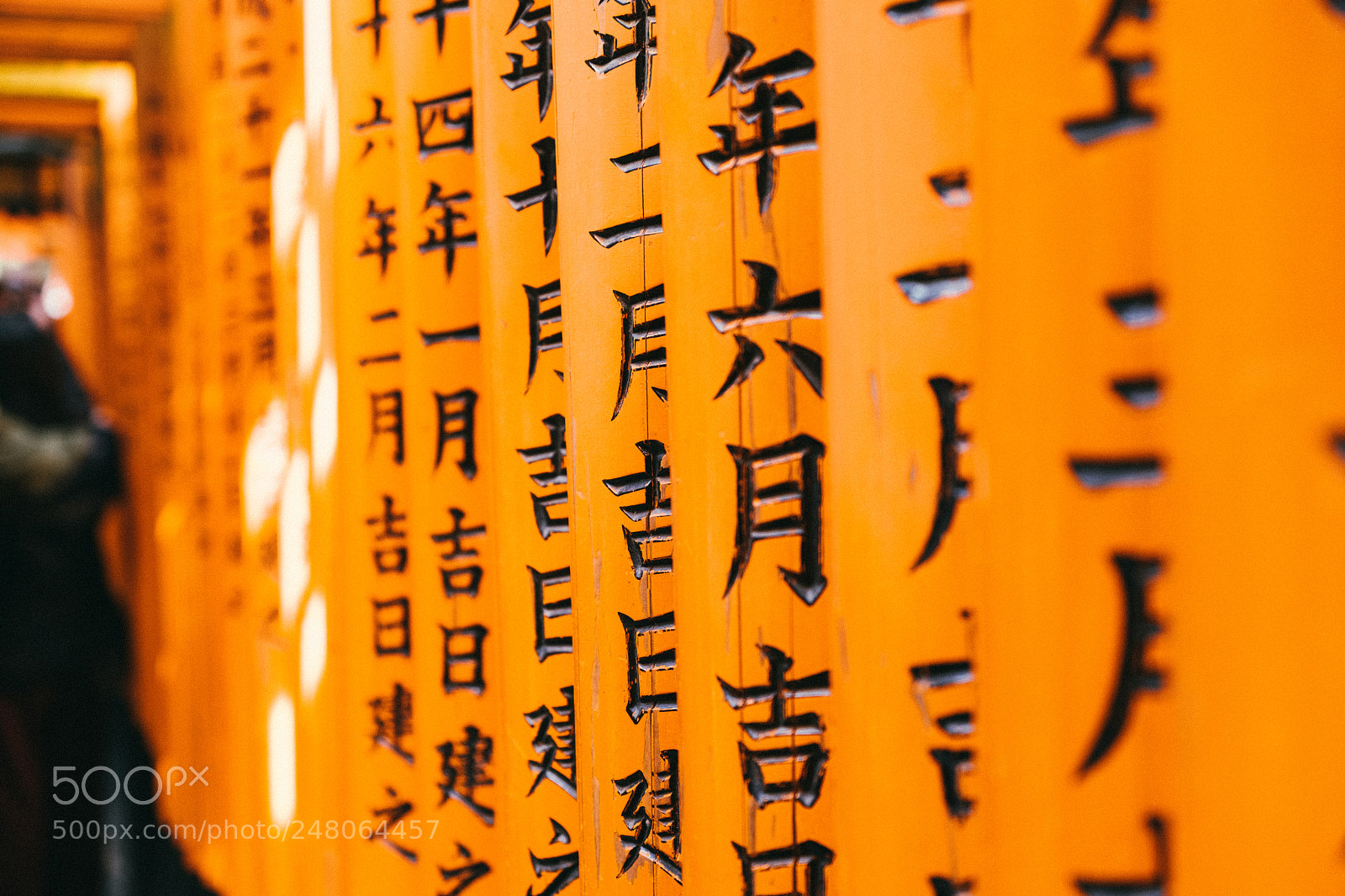 Fujifilm X-T2 sample photo. Dscf photography
