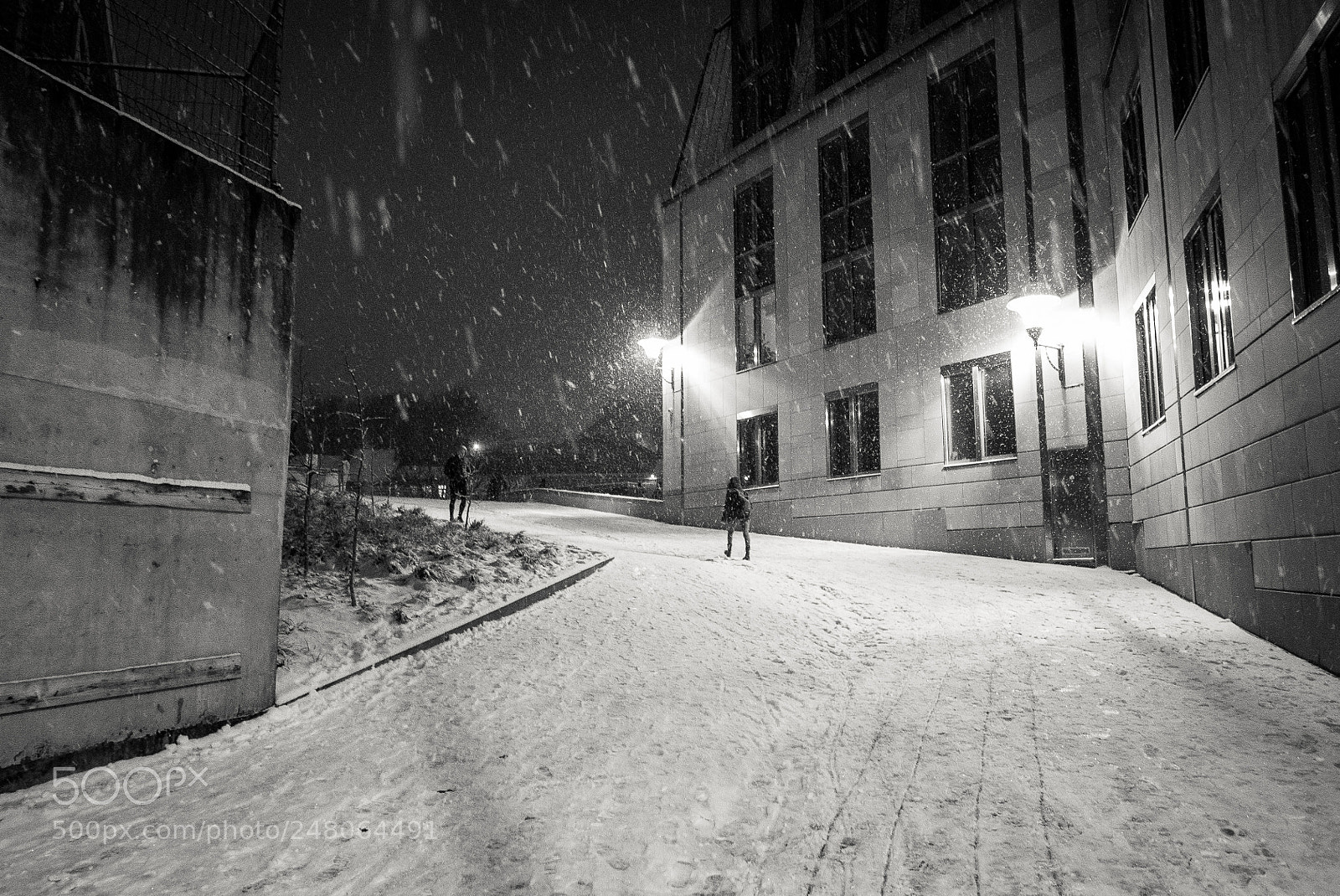 Panasonic Lumix DMC-LX100 sample photo. Into the snowstorm photography