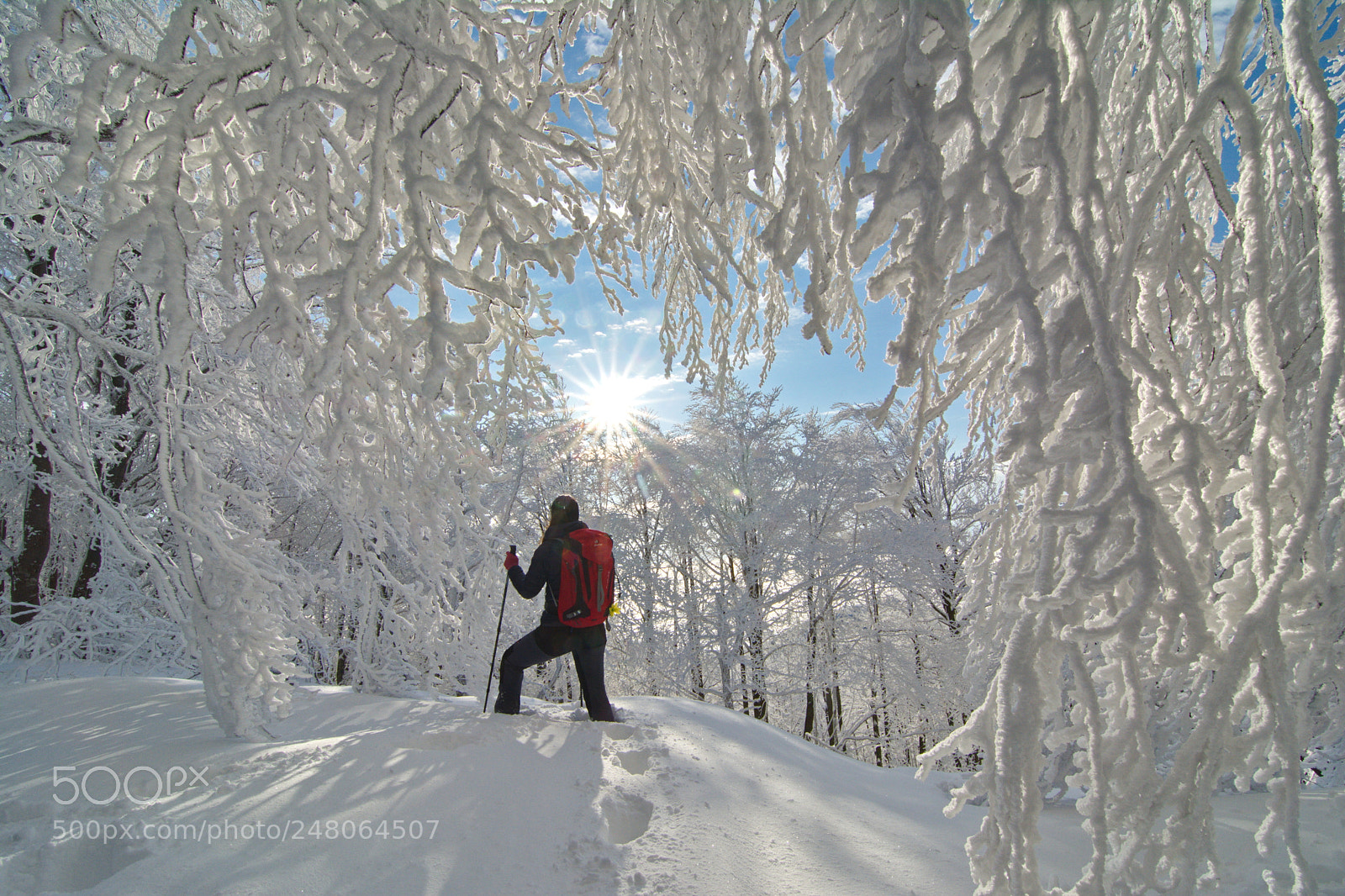 Nikon D7100 sample photo. Snow curtains photography