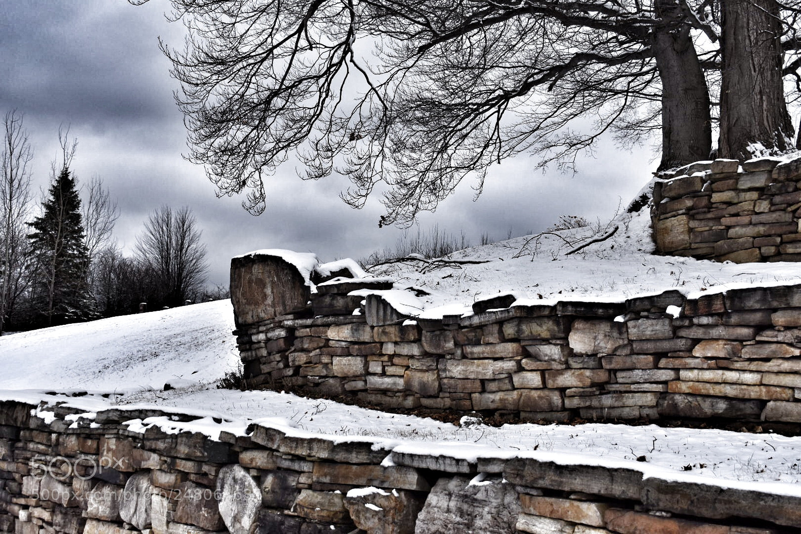 Nikon D3400 sample photo. Cloudy graveyard photography