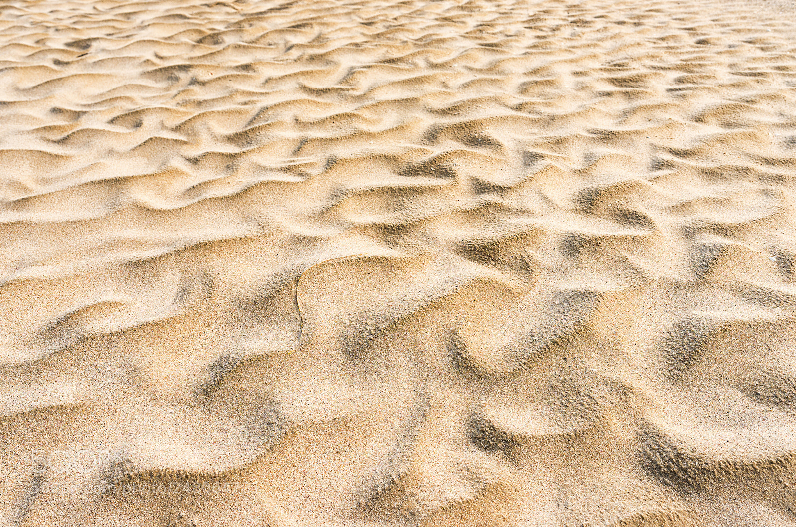 Nikon D800 sample photo. Wavy sand on the photography