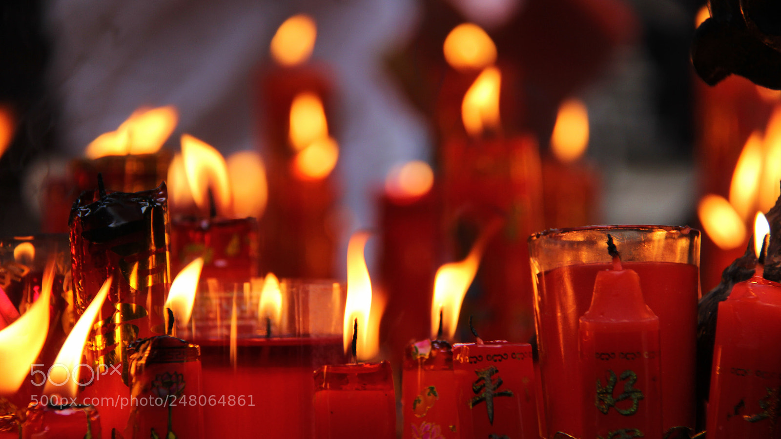 Canon EOS 60D sample photo. Untitled photography