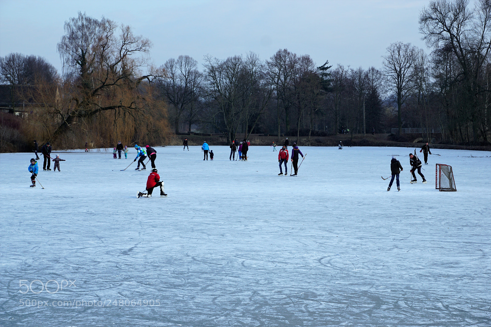 Sony DT 16-50mm F2.8 SSM sample photo. Auf dem dorfteich photography