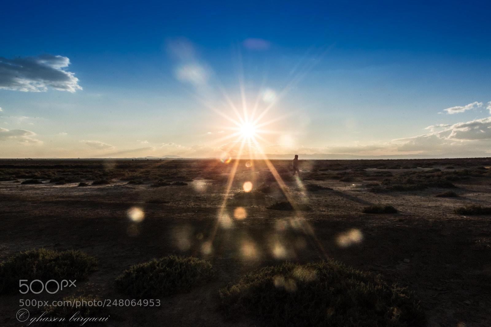 Nikon D7100 sample photo. Alone at sunset photography