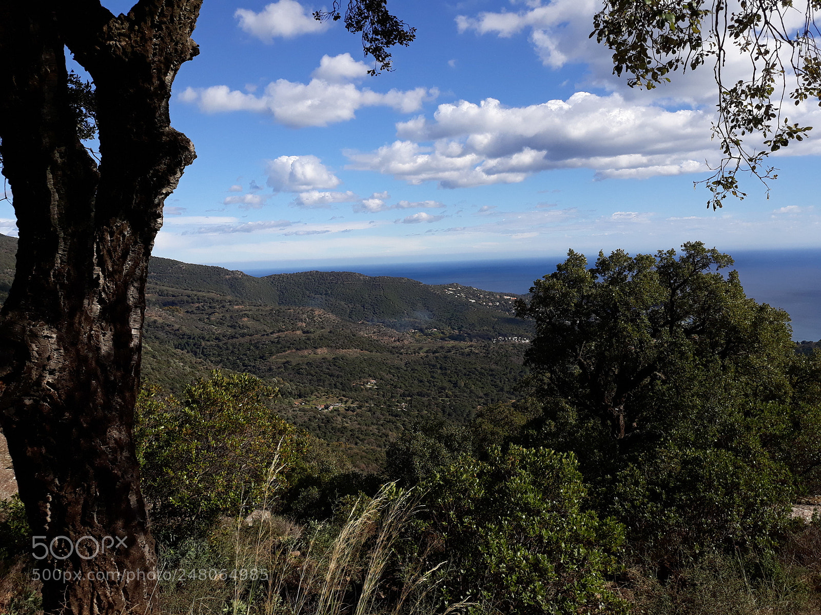 Samsung Galaxy J5 sample photo. Bormes les mimosas photography