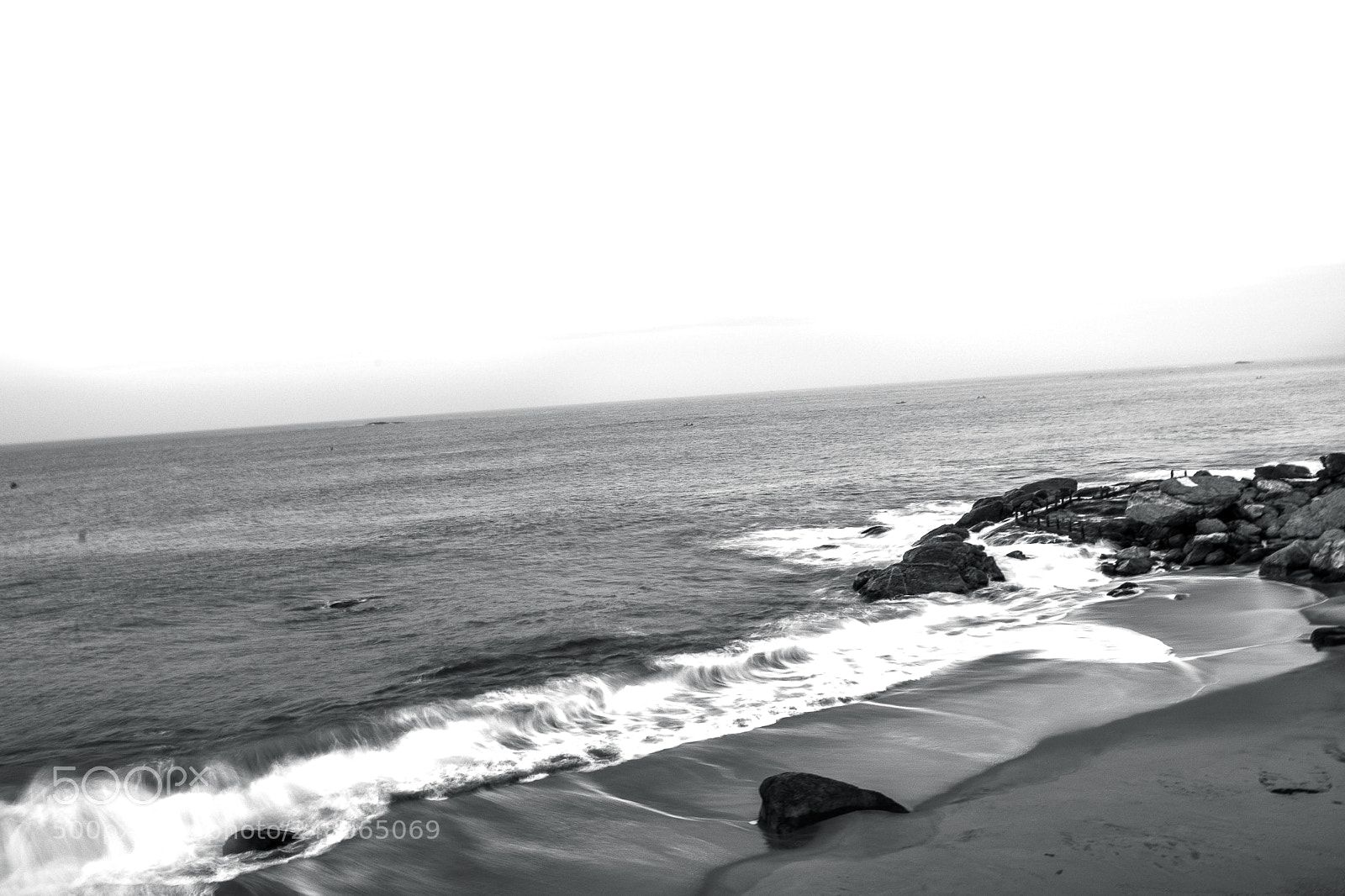 Nikon D5600 sample photo. Life at the shore photography
