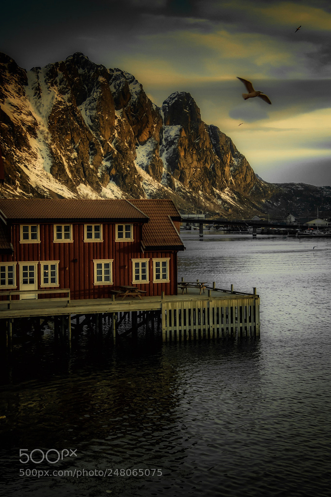 Nikon D7500 sample photo. Holiday houses at the photography