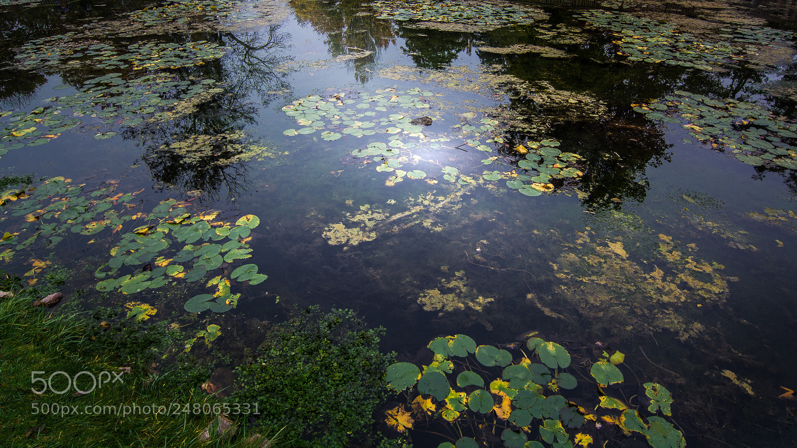 Nikon D7100 sample photo. Rays from below photography