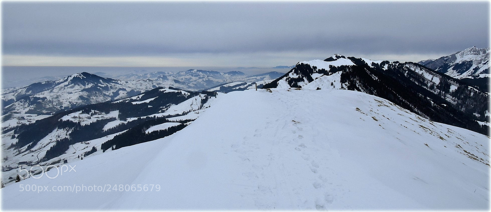 Nikon D810 sample photo. "walk on top" photography