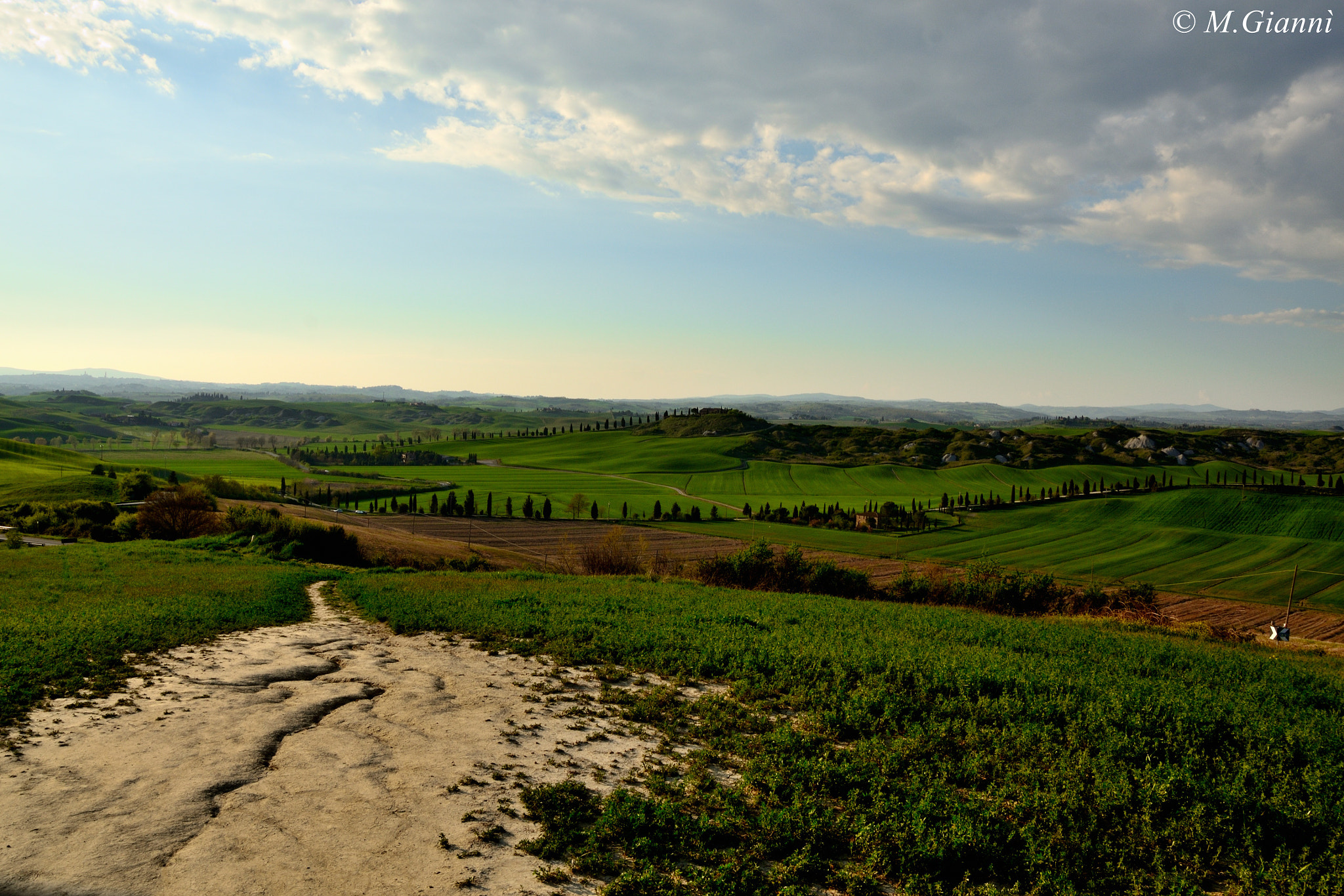 Nikon D3100 sample photo. Strade bianche - siena photography