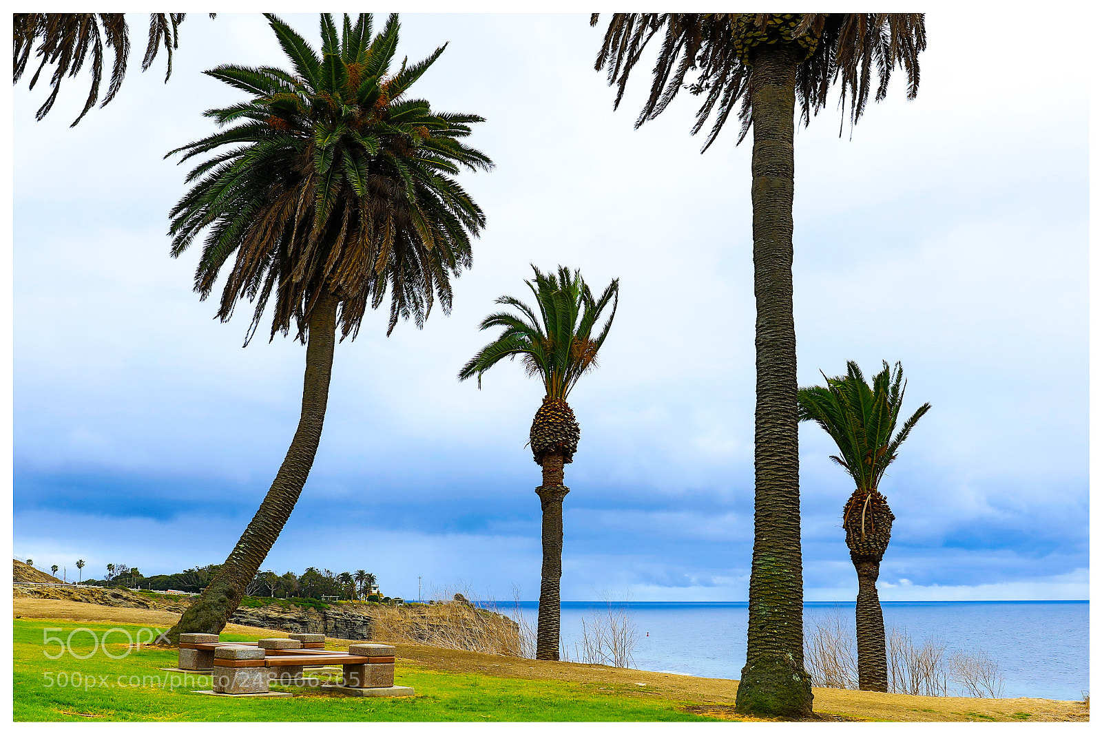 Canon EOS 5DS R sample photo. Point fermin photography