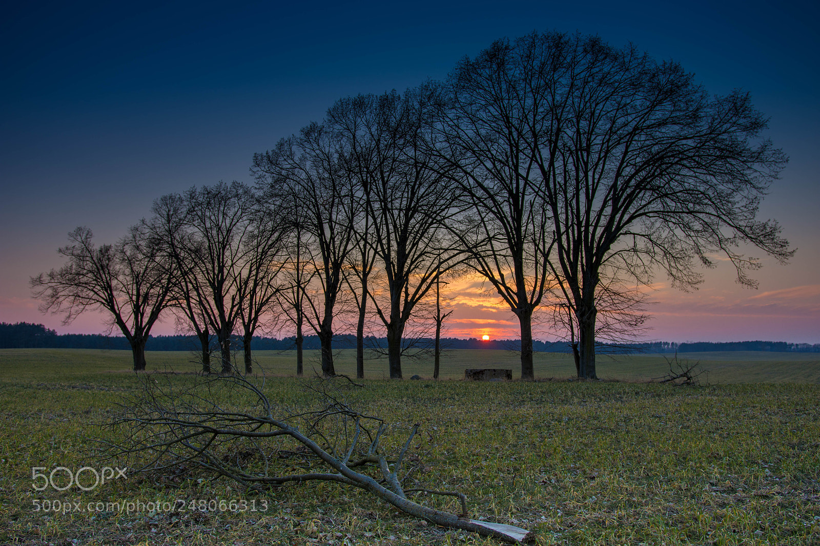 Nikon D7200 sample photo. Sunset photography