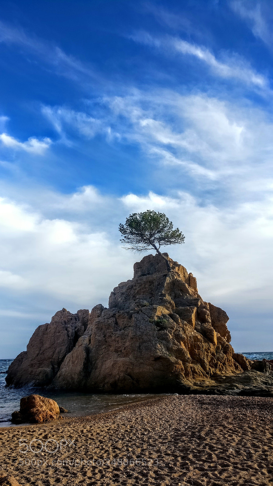 OnePlus A3003 sample photo. The lonely tree... photography
