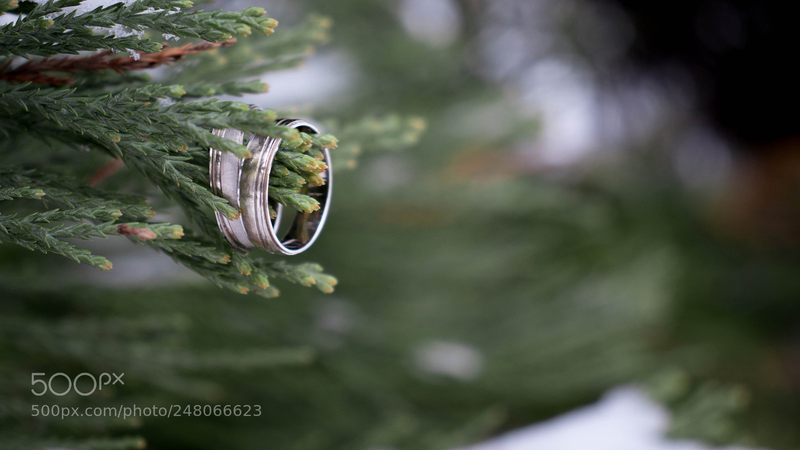 Canon EOS 77D (EOS 9000D / EOS 770D) sample photo. Cold photography
