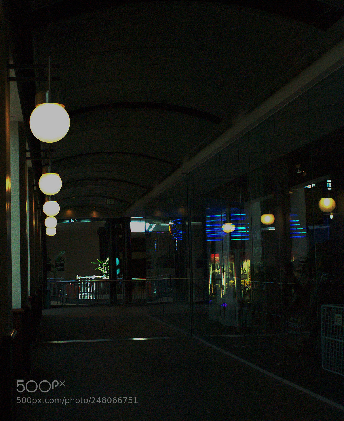 Nikon D700 sample photo. Untitled photography