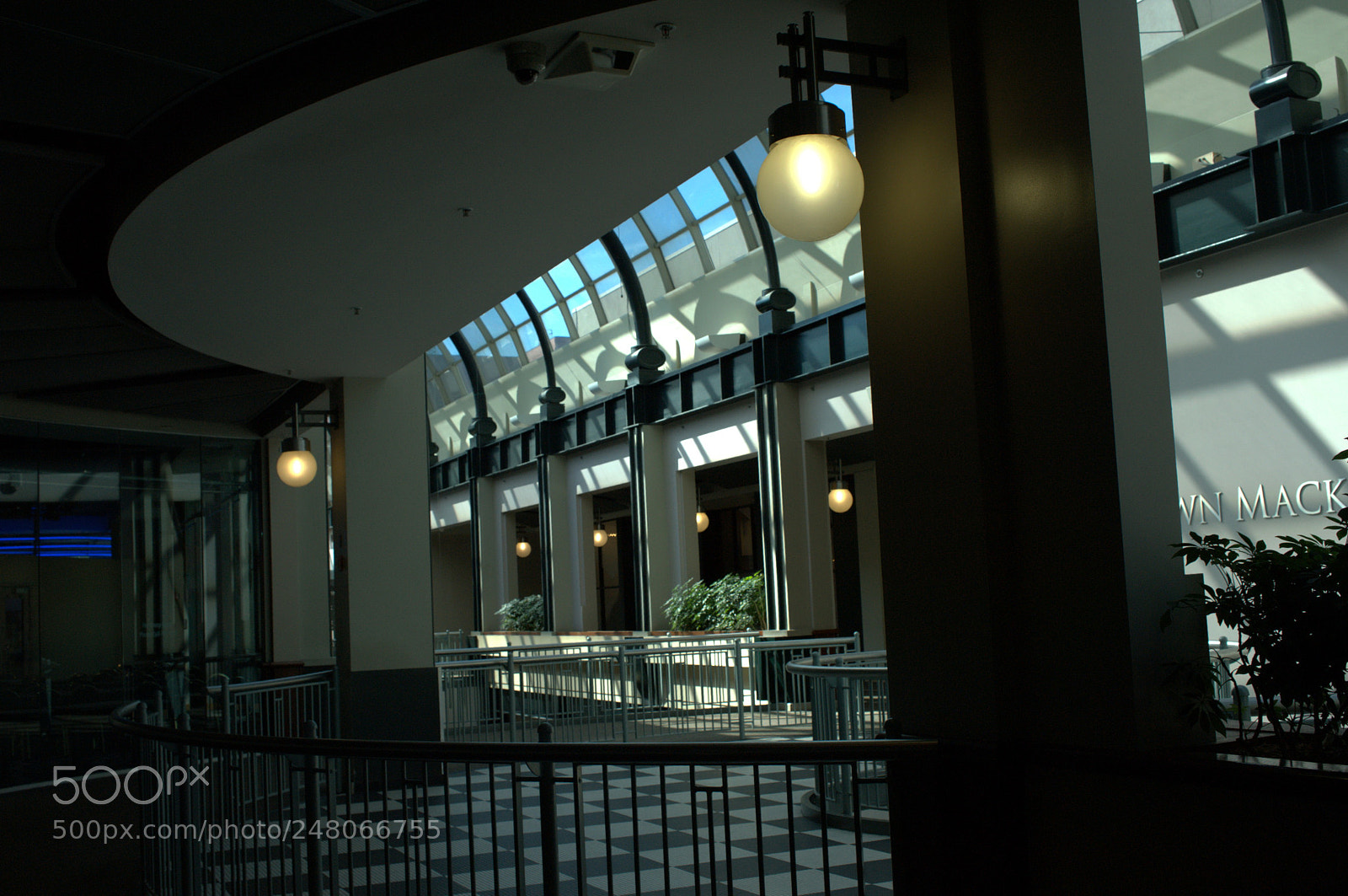 Nikon D700 sample photo. Untitled photography