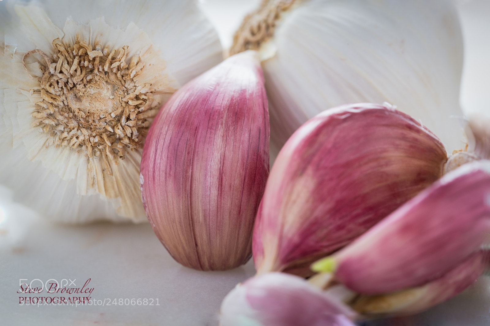 Nikon D5 sample photo. Garlic photography