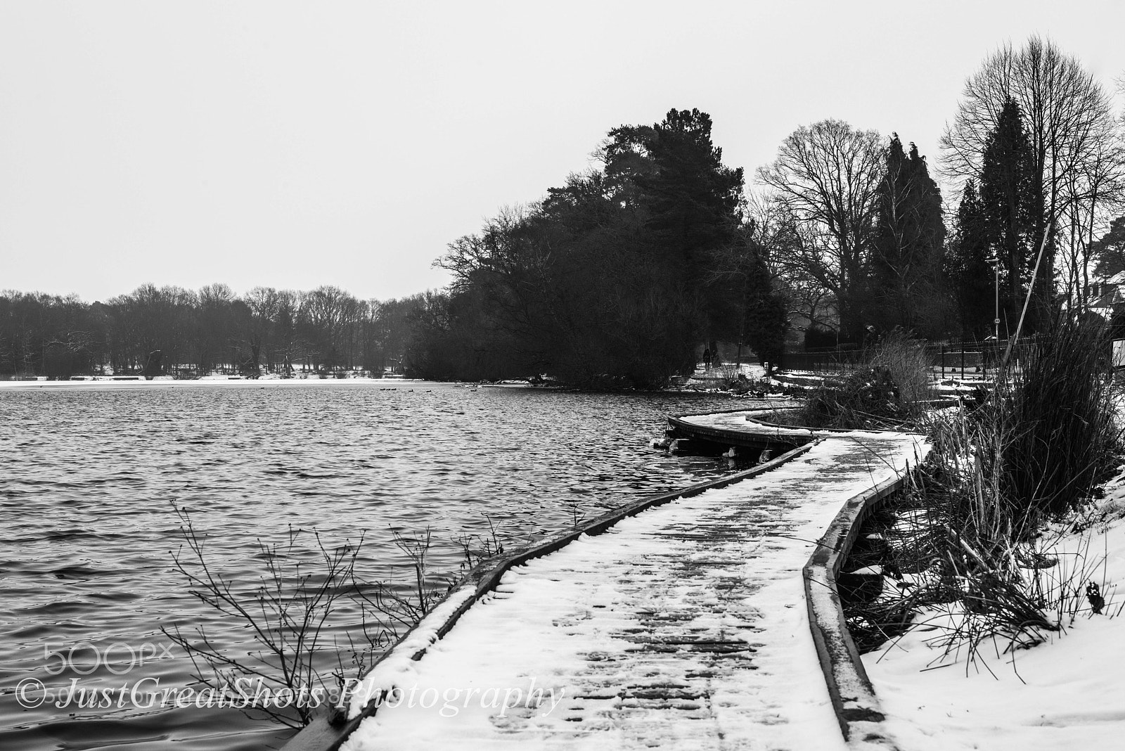 Nikon D810 sample photo. The heath photography