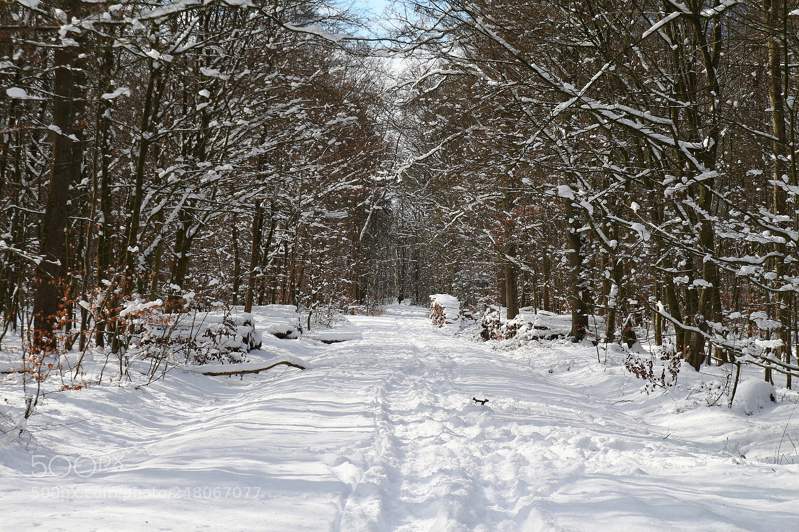 Canon EOS 700D (EOS Rebel T5i / EOS Kiss X7i) sample photo. Snow photography