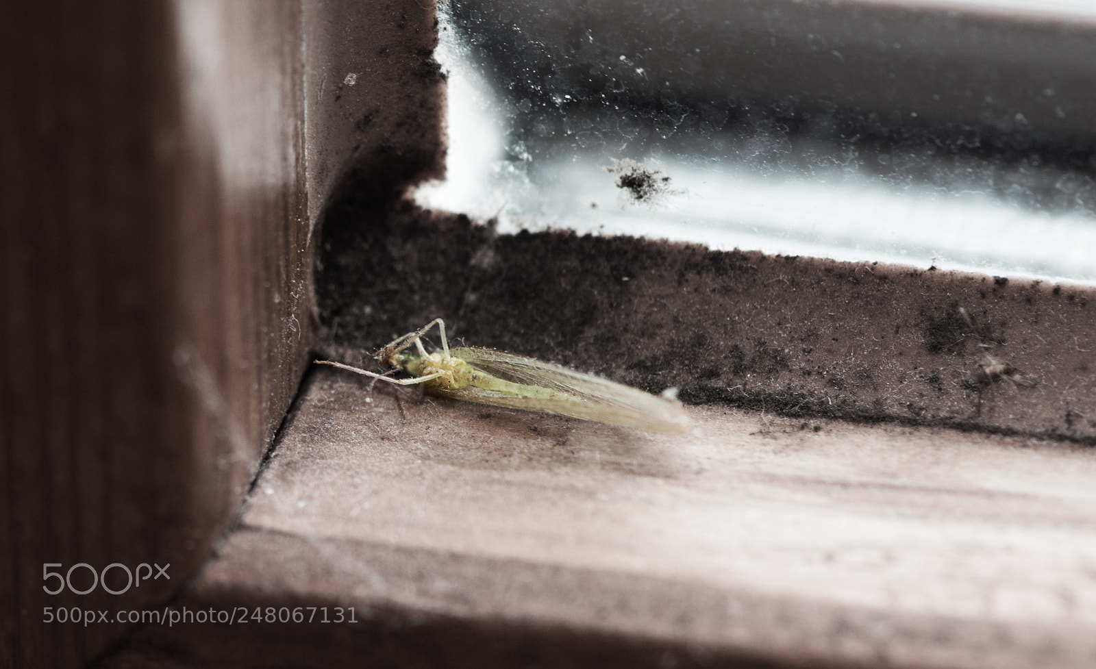 Nikon D800 sample photo. Decay photography