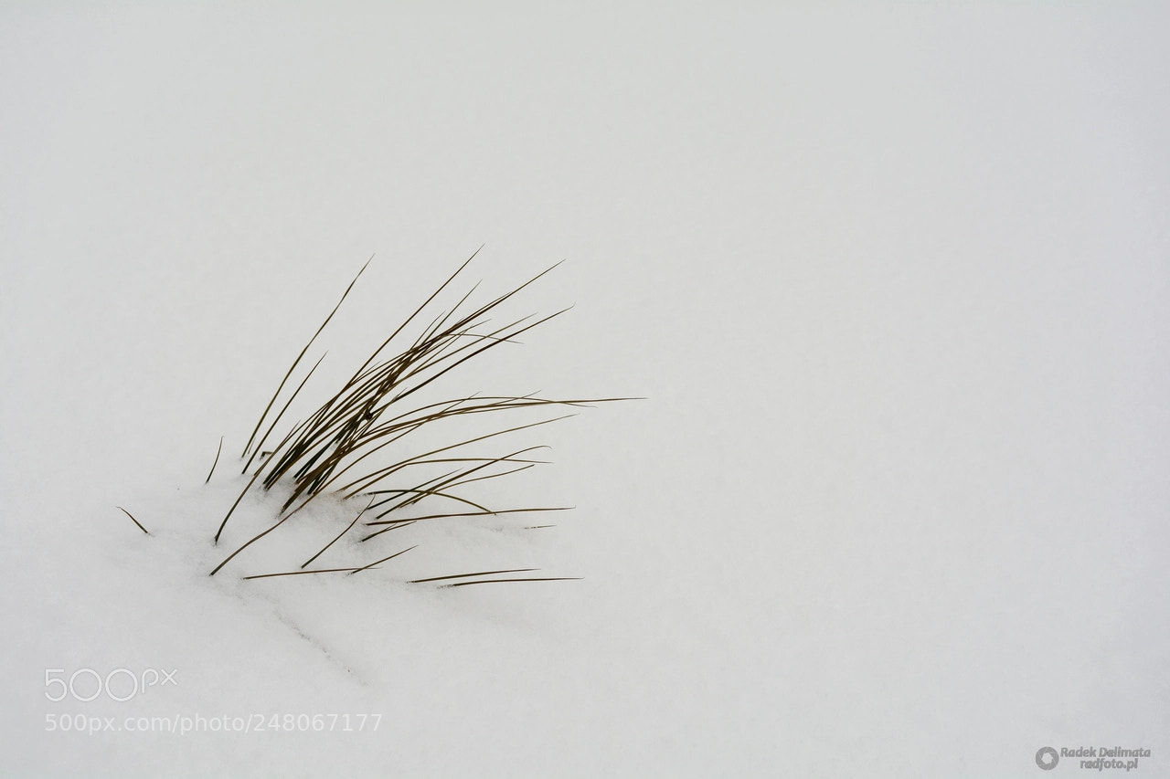 Nikon D7100 sample photo. Bieszczady in the winter photography