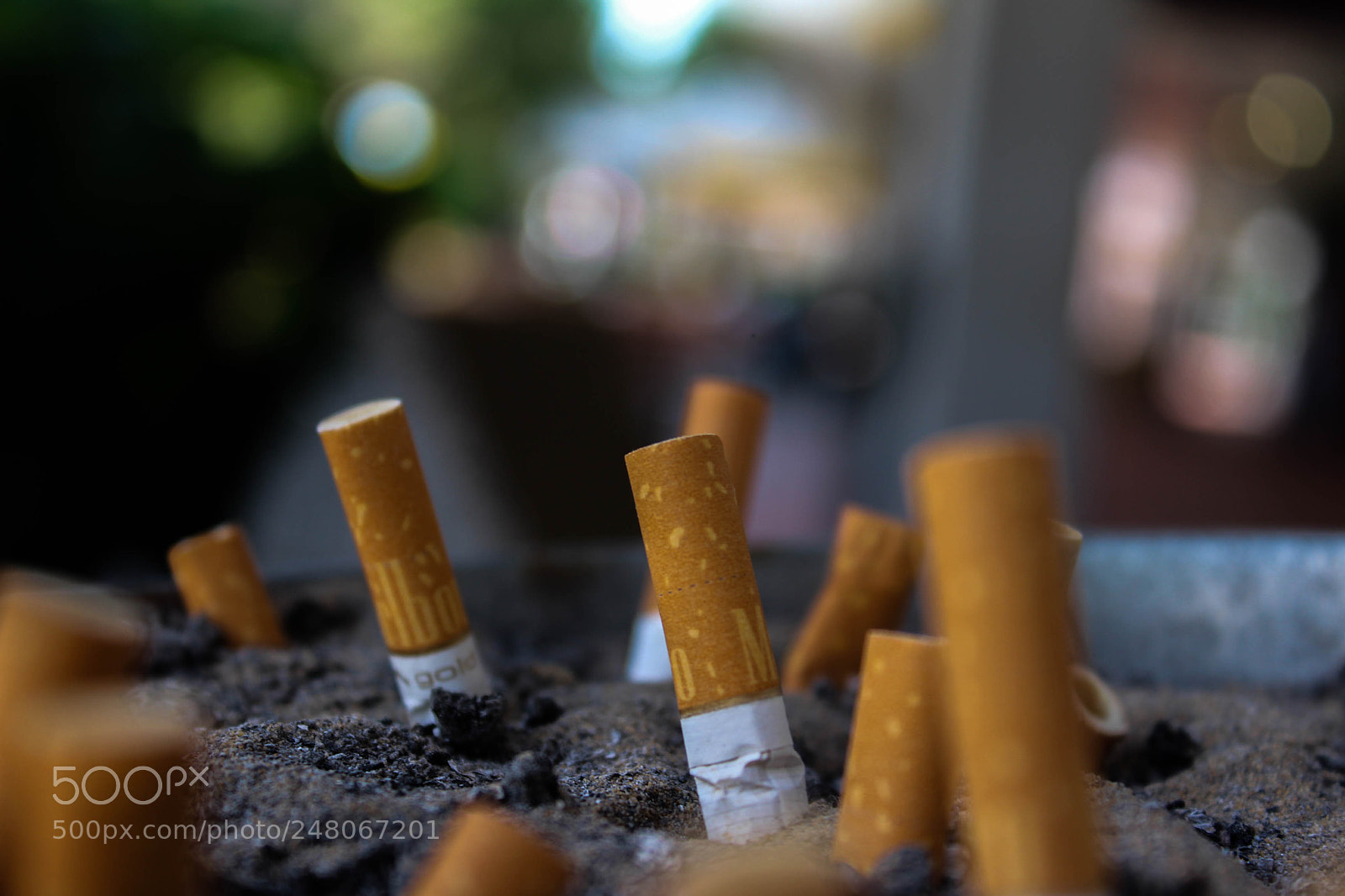 Canon EOS 650D (EOS Rebel T4i / EOS Kiss X6i) sample photo. Killed cigarettes photography