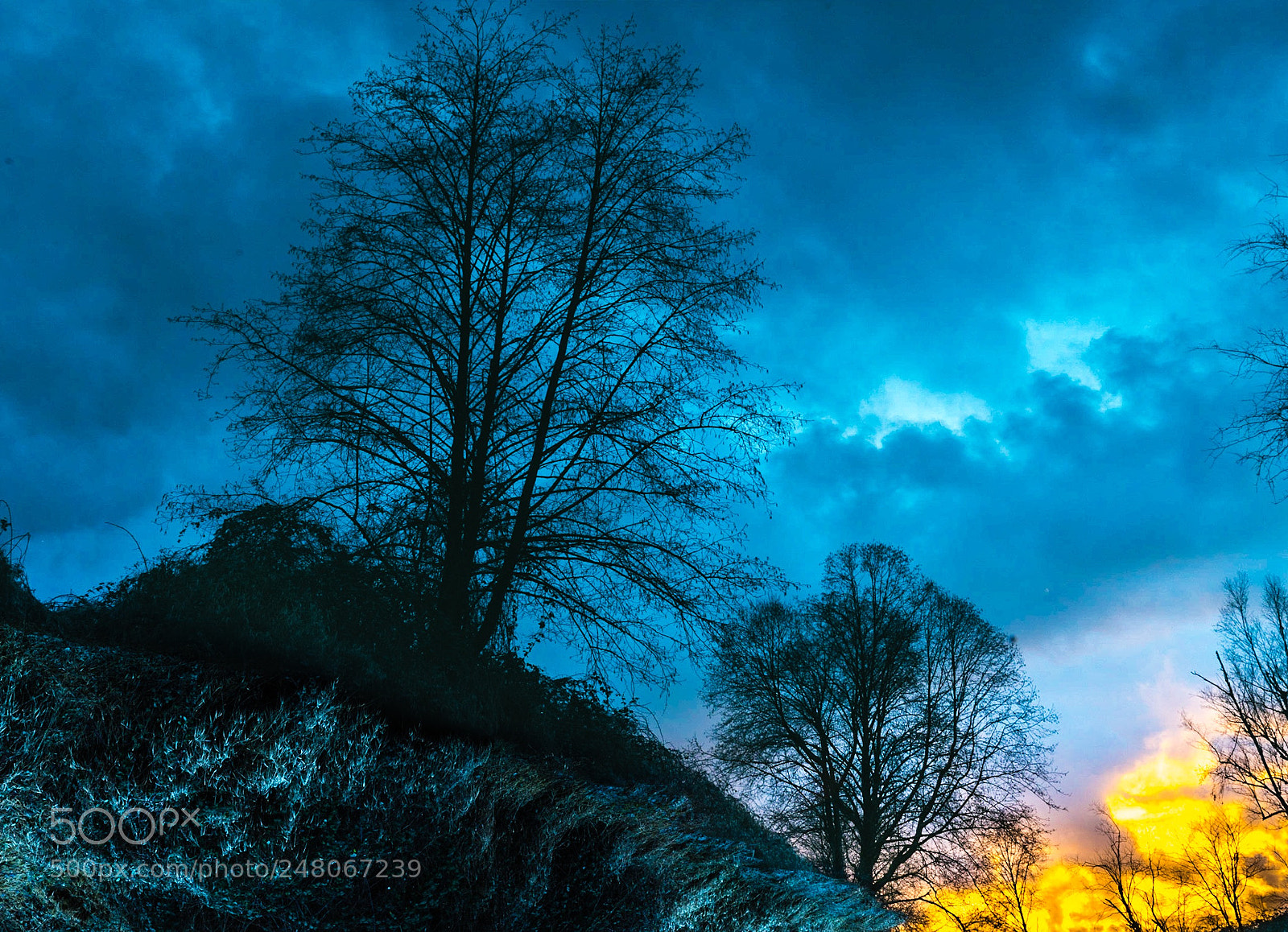Sony a7R II sample photo. Reflection of sunset photography