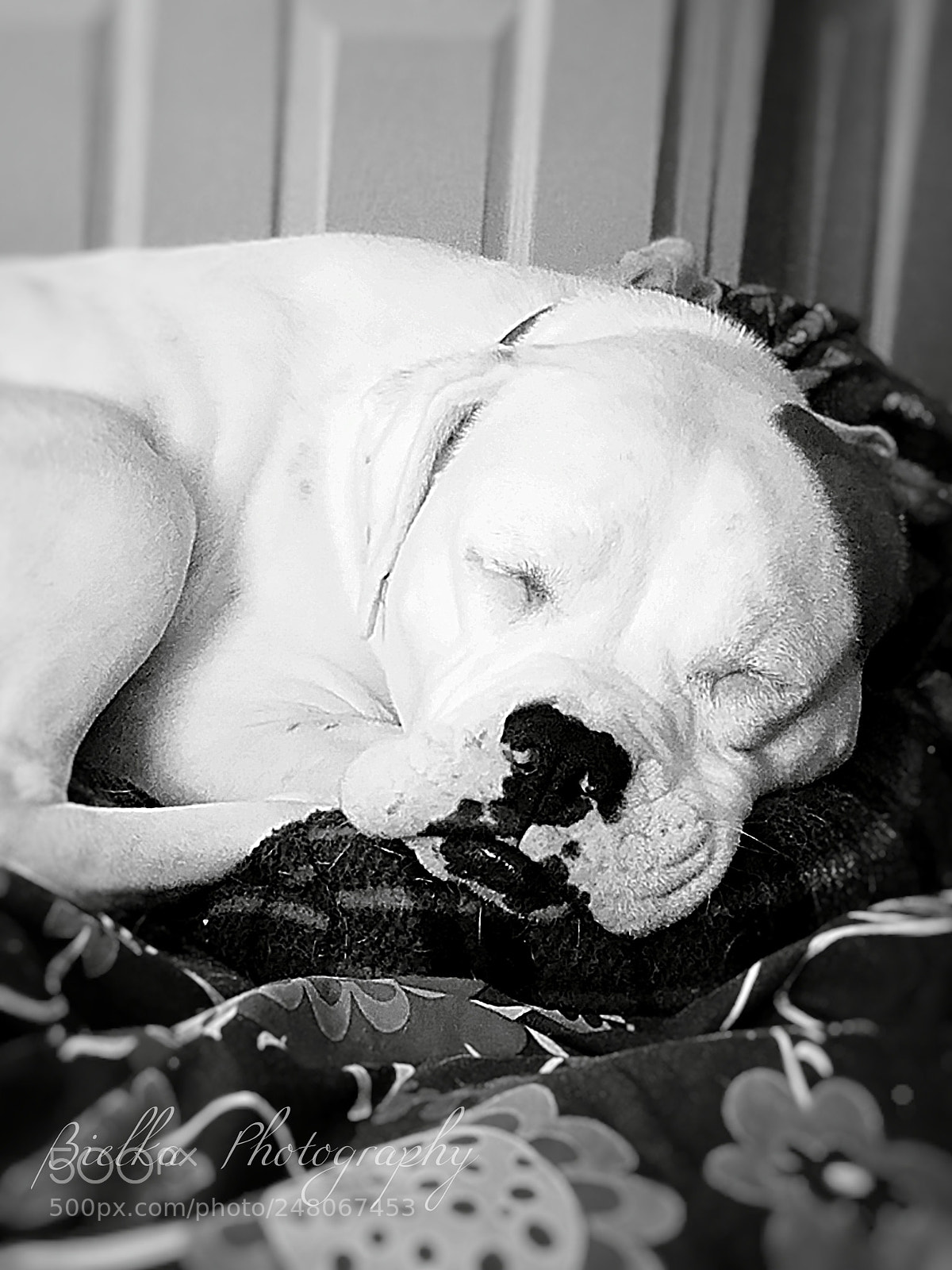 Samsung Galaxy S7 sample photo. My sleeping beauty photography