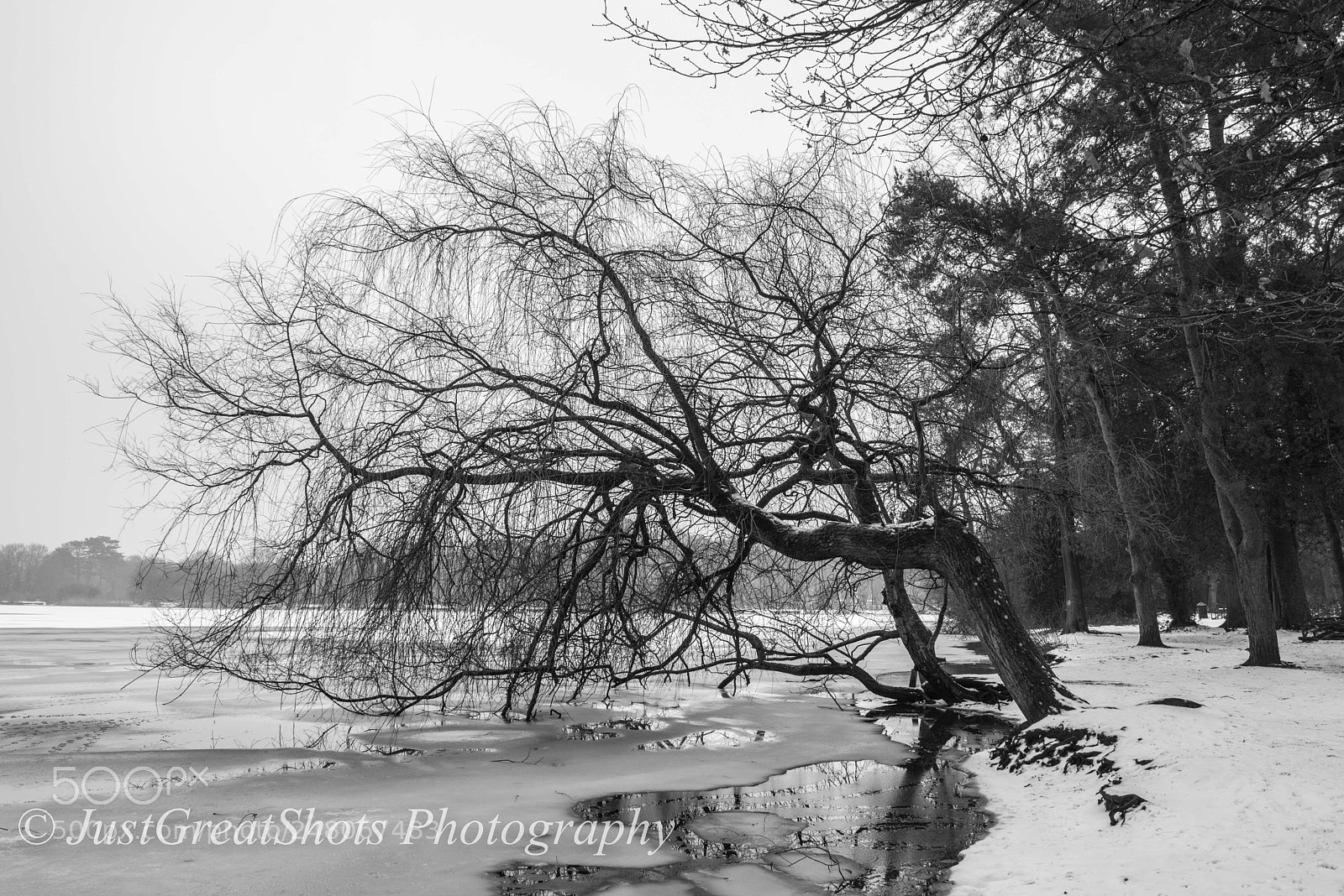 Nikon D810 sample photo. The heath photography