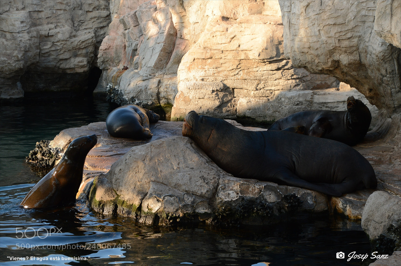 Nikon D3200 sample photo. Vienes el agua est photography