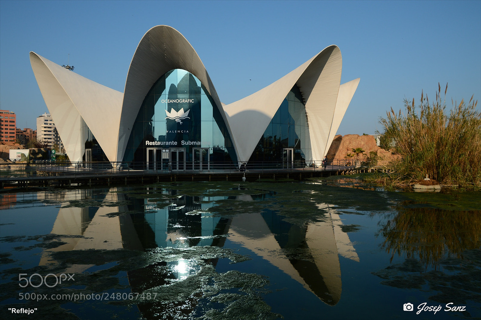Nikon D3200 sample photo. Reflejo photography