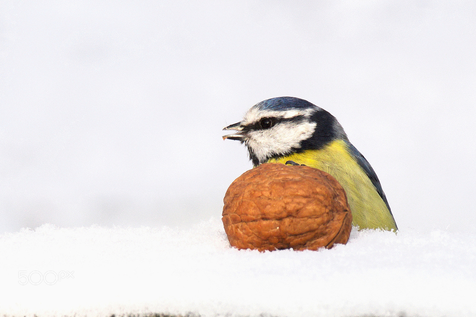 Canon EOS M10 sample photo. Comeback of the winter photography